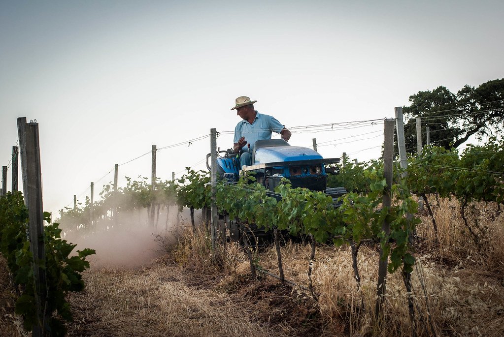 Agricultura regenerativa ibérica