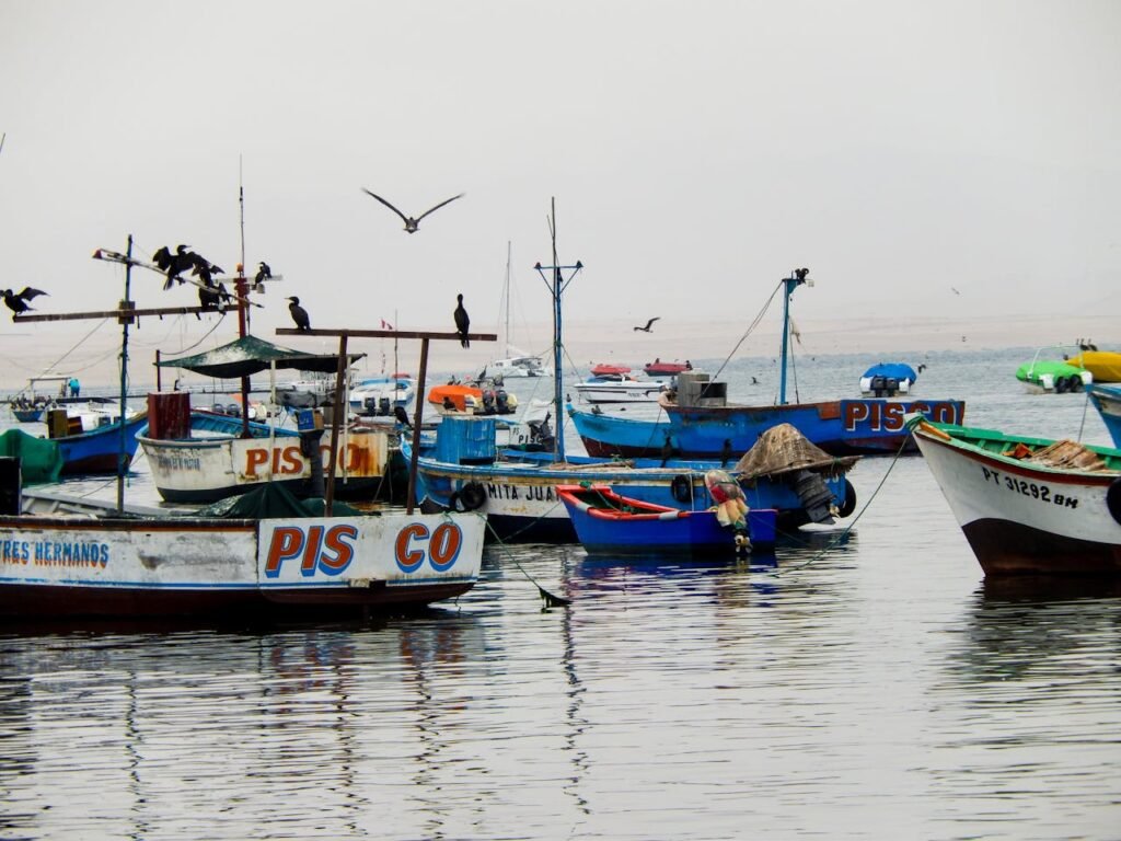 Boats on Water