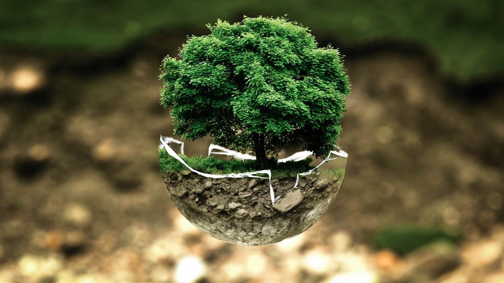 Arbol flotando en la naturaleza